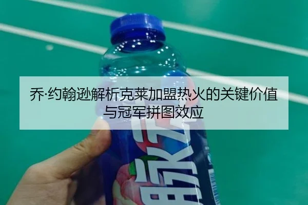 乔·约翰逊解析克莱加盟热火的关键价值与冠军拼图效应 - LD