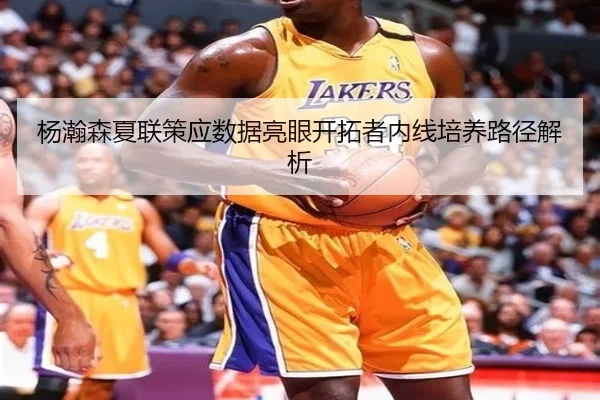 杨瀚森夏联策应数据亮眼开拓者内线培养路径解析 - LD